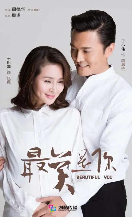 最美是你DVD版 海报