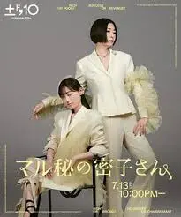 《绝密的密子小姐》：神秘女仆潜藏惊天秘密，悬疑与情感交织的复仇迷局！