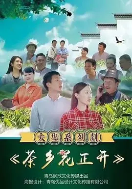 《茶乡花正开》影评：当茶香弥漫，真相浮现！乡村悬疑探案的温情与冲击